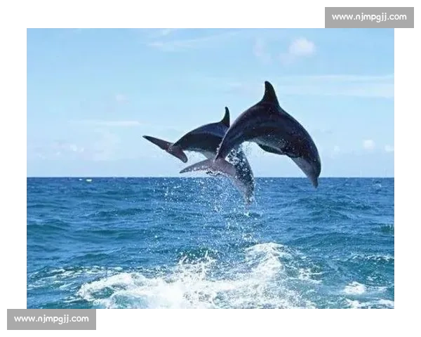 海焰之灵亮相!白海豚跃浪燃动湾区全运激情